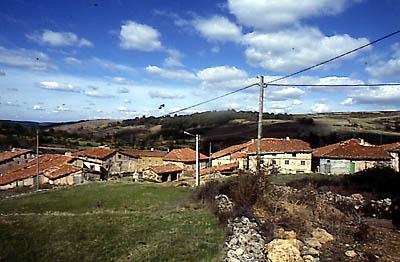 Imagen de Rábanos